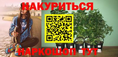 МДПВ Партизанск