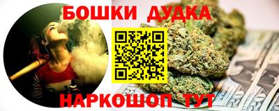 МДПВ Партизанск