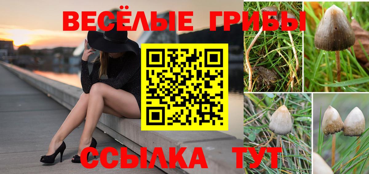 Псков  Галлюциногенные грибы мицелий  Вход с VPN 