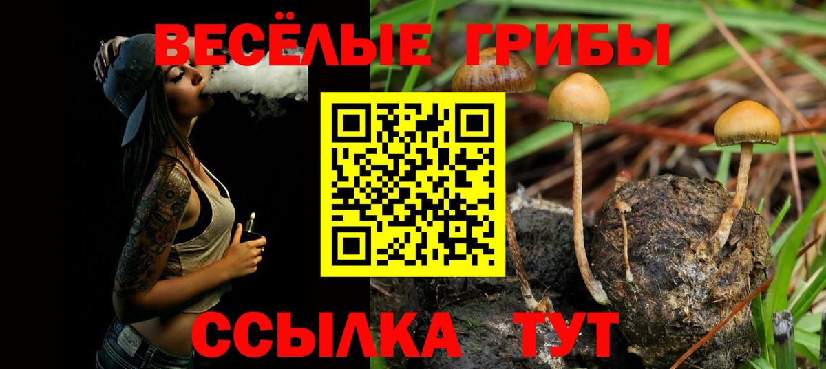 Псилоцибиновые грибы прущие грибы Псков